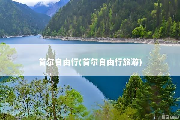 首尔自由行(首尔自由行旅游)